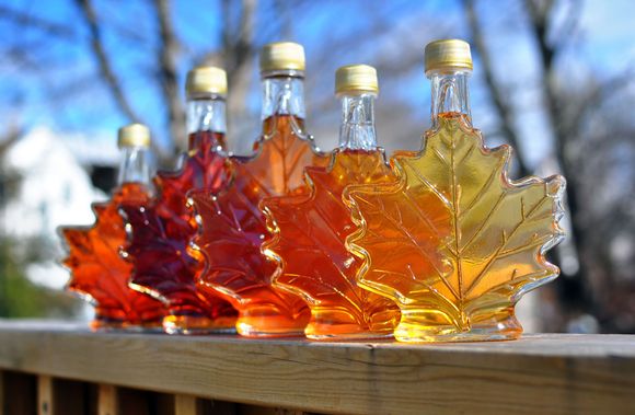 Maple Syrup for your pancakes this morning !!