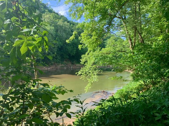 The Green River looking very brown, lol.