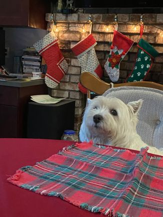 Flora….IM THE QUEEN HERE HAND THEM OVER!