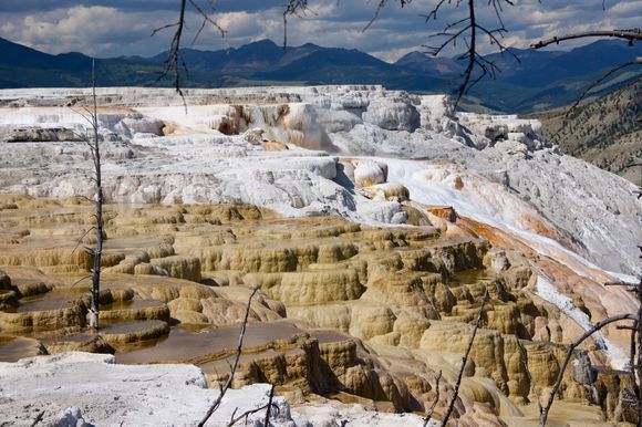 Mammoth Hot Springs