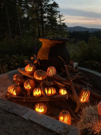 Naumkeag pumpkin show