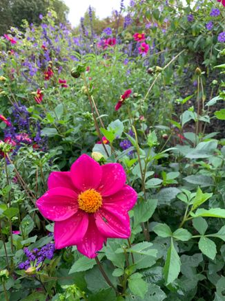 Shortly after this is started raining really hard.  