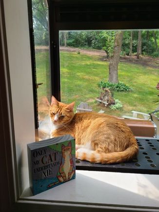 Isn’t he sweet Zig? 