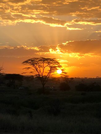 Serengeti sunset