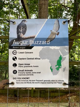 At the very bottom of the sign, it explains that in the US a buzzard is a vulture but in the old world the original meaning was “hawk”.