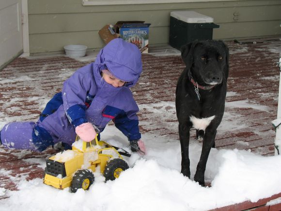We were looking at old photos last night of the best dog, Scout. She was the sweetest dog in the world. 