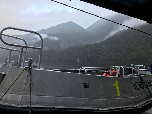 Mist and fog on Doubtful Sound