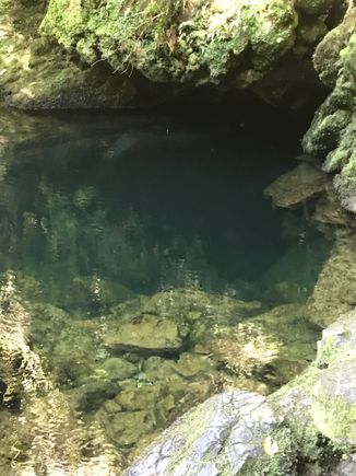 Source of Riwaka river