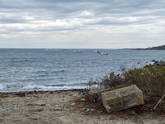 Very Maine feeling, eh Barb?