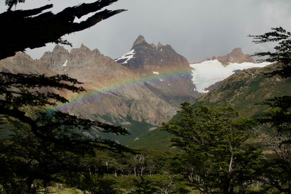 A little rain brought out the rainbows!