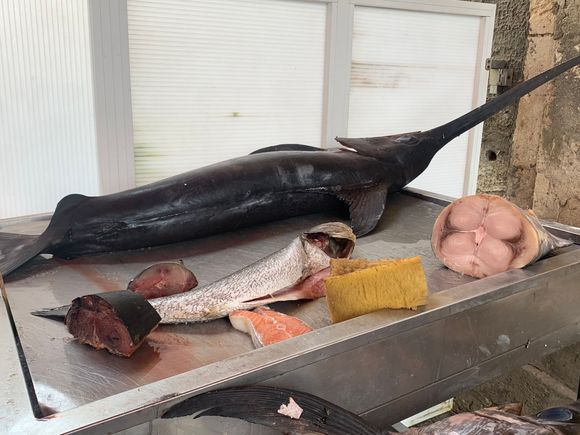 Fresh swordfish for sale at the Ortigia market.  Siracusa