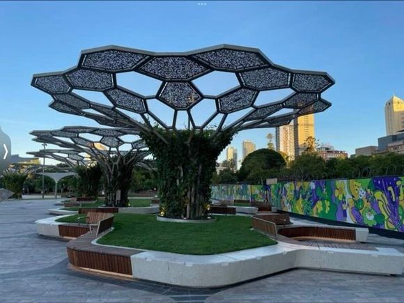 Someone channeling Singapore, I think, trying grapevines for shade