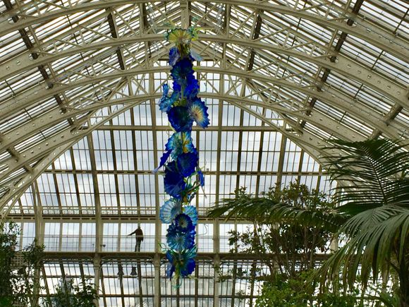 Chiculy’s hanging glass sculpture in the Temperate House