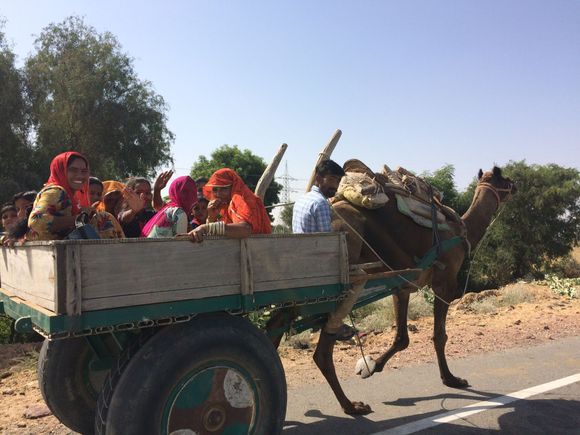 On the way to Bikaner