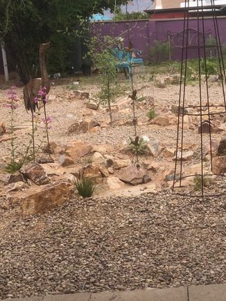 I love this heron from the junk shop that i got for my birthday.