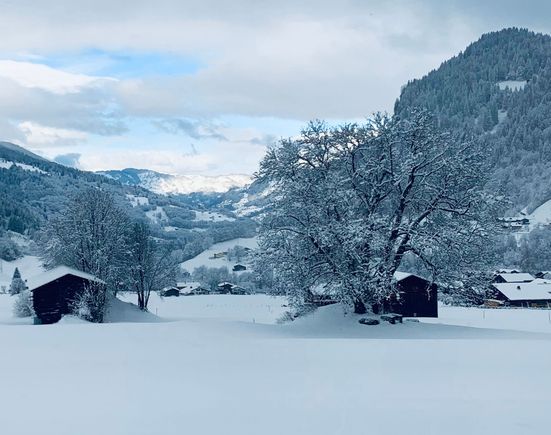 Taken from the train to Scuol. 