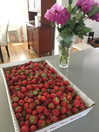 Box of PYO strawberries 