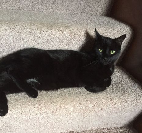 Can’t believe you went there Zig. Look at that face!! Although he is not getting near any sweet birds. Love your hummingbird pictures .