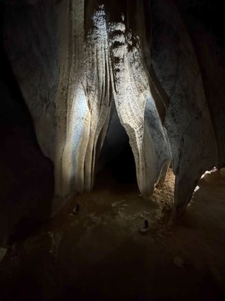 Donna Cave - "The Bedroom Curtains"