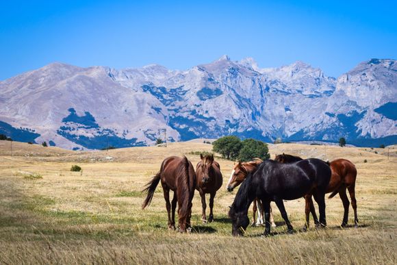 On our way over Durmitor.