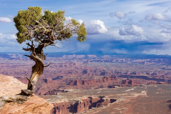 Canyonlands NP