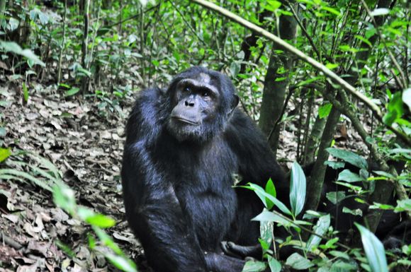 Now,where do I start for breakfast