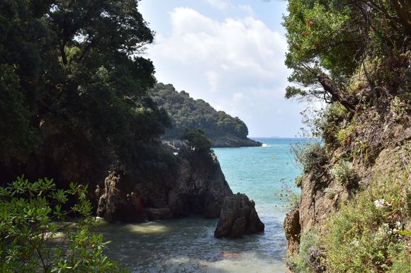 Encountered on my walk