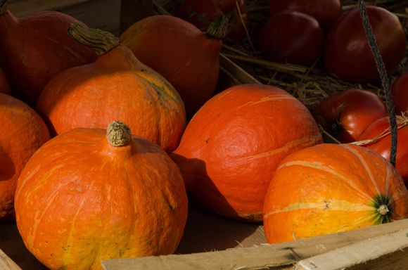 The Quimper weekly market. Pepito kiosk sold good paella. The young owner women at 'Comte Bon' sold quality cheese.  Sophie Fruits sold strawbs from Plougastel. Cheese, wine, cider, clothes, produce... shoppers lacked for nothing. Quite the wide variety.