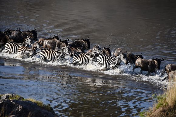 Then they finally decided to cross over.