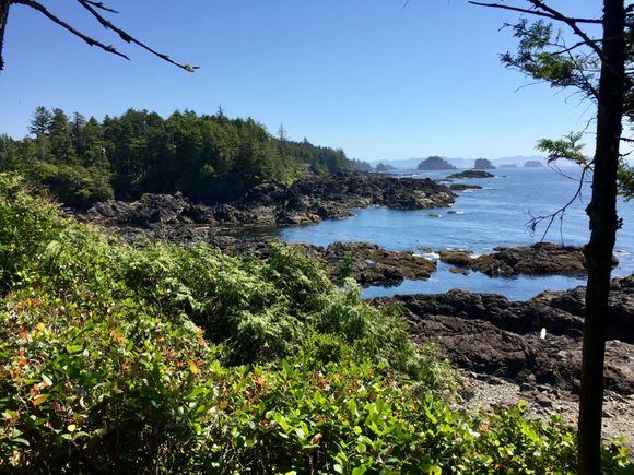 Ucluelet hike