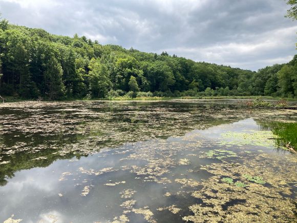 Mount Tom State Reservation in Holyoke