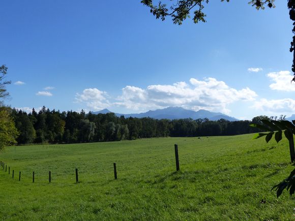 Walk from ferry to palace