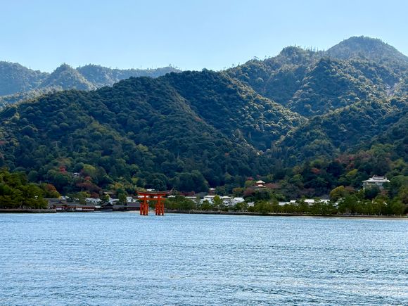 Stand on the right side deck of the ferry to get a great view coming to Miyajima