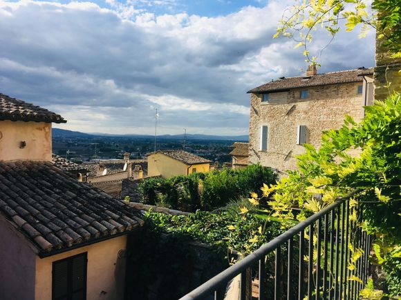 View from the terrace