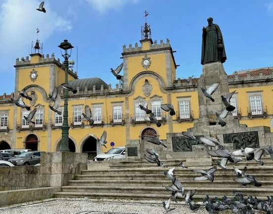 Barcelos town hall - and lots of birds