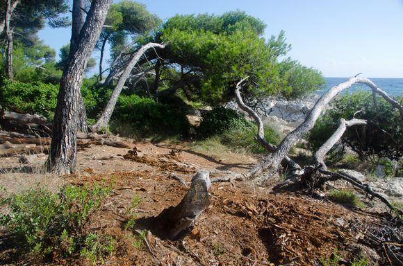 Iles des Honorat, off of Cannes.