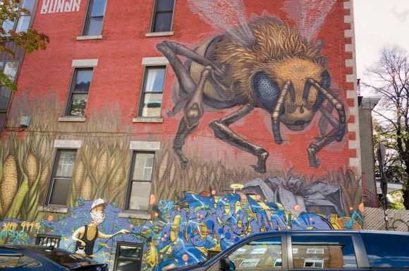 A mural done by a local young woman. Has Banksy done any murals in mMntreal?