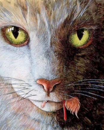 Beware Childless Cat Ladies 