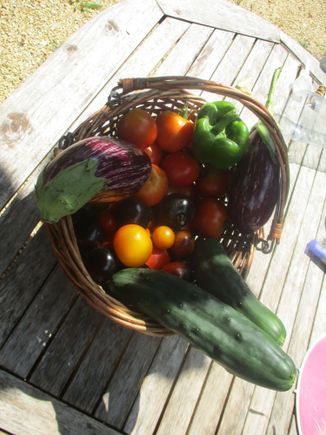 Yesterday's garden haul