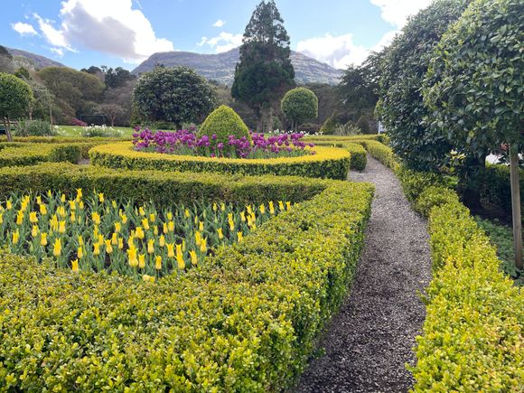 Muckrose Garden
