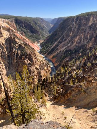 Looking into the canyon