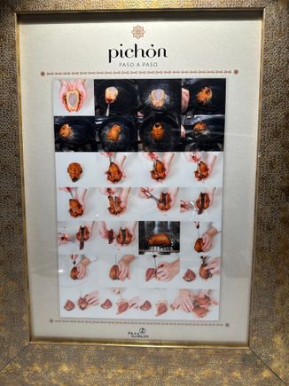 Detailed diagram of pigeon parts and breaking down the bird for preparation.  Where else but here!?!?!