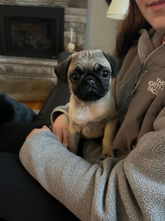 No name for the new baby yet.