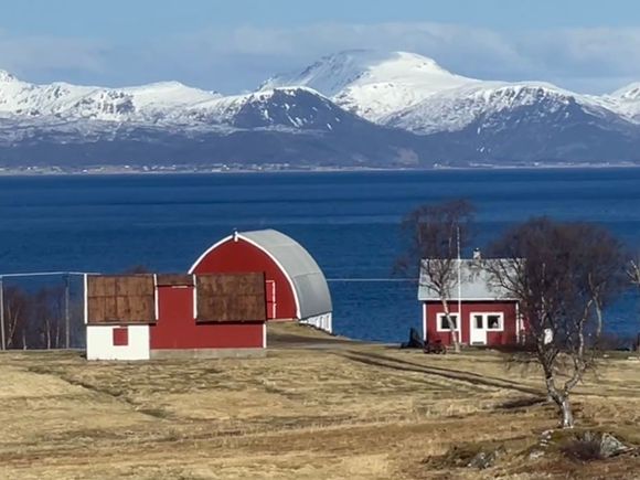 Absolutely gorgeous!