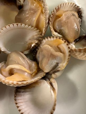 Berberechos, a fine Galcian clam; simply steamed.