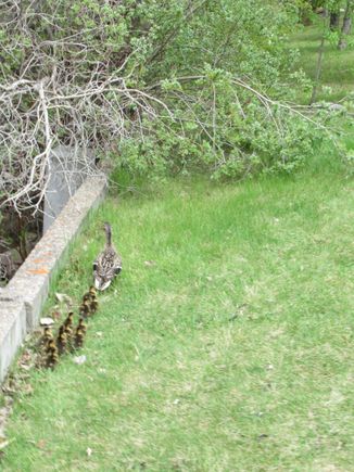 Oopps , another little detour, lets follow the wall and find  an exit point !!!