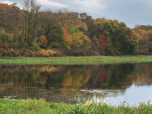 I'm a sucker for reflections.