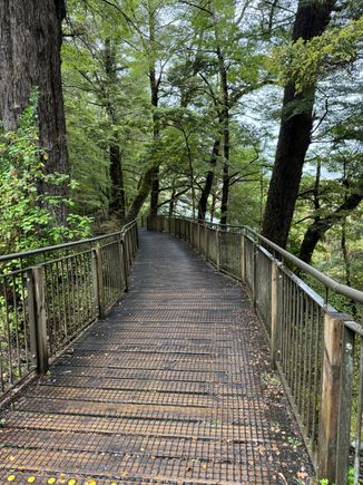 The boardwalk at Mirror Lakes on a rainy day