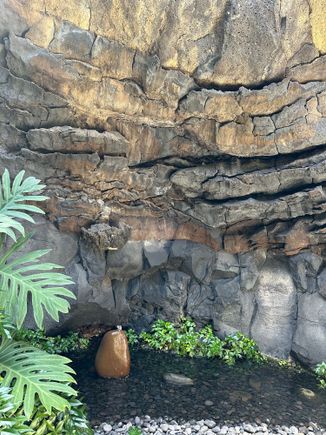 interior or Manrique house!!!