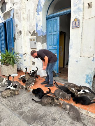 SAnta Marina Salina has a large cat colony and this man, and his father feed them four times a day.   They are super friendly to humans and nestle up if you sit on a bench near where they congregate.  But they will depart with the flick of a hand.  I was so touched by the dedication of this team in taking care of these little fuzzy animals...